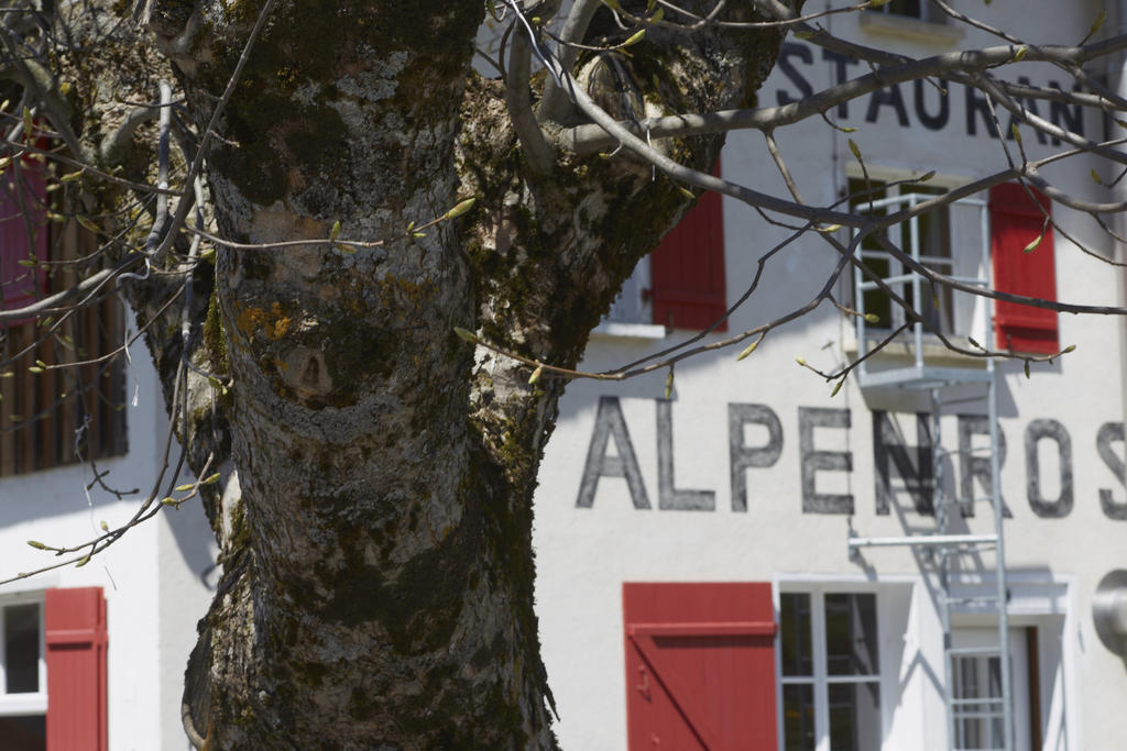 Alpenrose Gadmen - Gasthaus المظهر الخارجي الصورة
